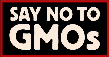 5 Reasons to Avoid GMOs for a Healthier Life