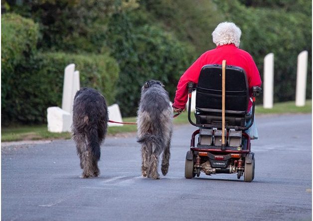 Scooters Seniors