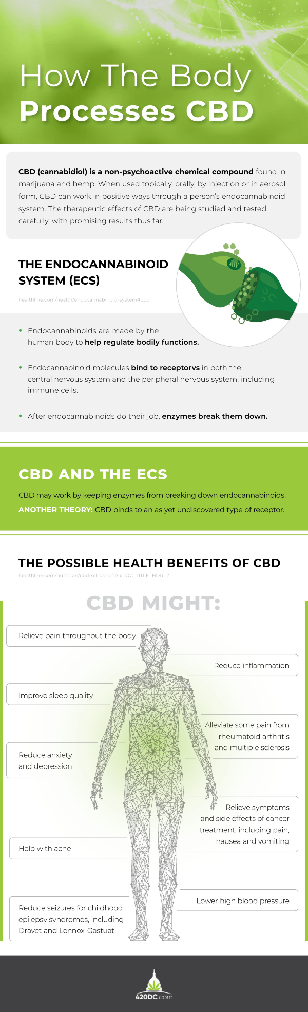 How The Body Processes CBD